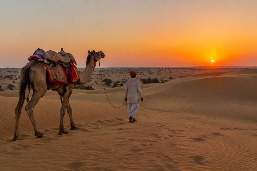 Que voir et que faire dans le désert du Thar, le grand désert du Rajasthan ?